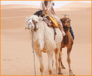 private 2 days tour from Fes to Merzouga desert,Morocco adventure Sahara trip,Erg Chebbi excursion private 2 days tour from Fes to Merzouga desert,Morocco adventure Sahara trip,Erg Chebbi excursion