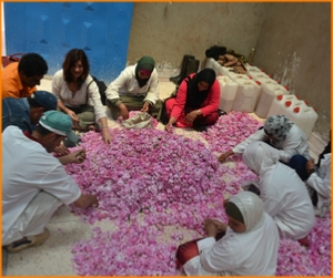 private 6 days tour from Casablanca,5,6,7 days Morocco culture tour and Casablanca trip private 6 days tour from Casablanca,5,6,7 days Morocco culture tour and Casablanca trip